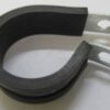 P Clips